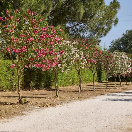 Feriepark Costa D'argento - Village Club *